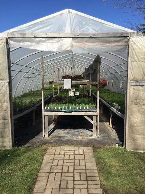 Grumpa's Organic Greenhouses